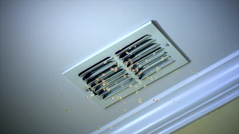Best Duct Cleaning for Homes  in Narberth, PA